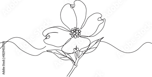 Elegant single line drawing of a Dogwood bloom, conveying simpli