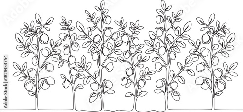 Minimalist continuous line drawing showcasing an abstract chickp