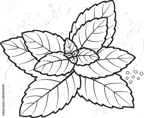 Botanical Illustration of Mint Leaves with Abstract Geometric Ba