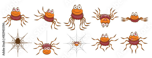 Spider vector illustration