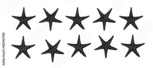 Starfish silhouette border divider. Sea and ocean design template. Vector illustration summer or beach party, advertising design