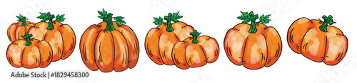 The pumpkin for Thanksgiving day concept png image