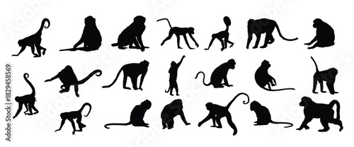 the set of monkey silhouette collection