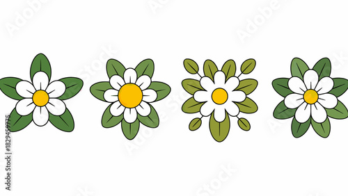 Cheerful floral pattern of daisies with green leaves on a white background bringing a sense of peace and calmness