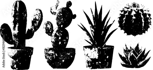 Cactus and succulent plants in black and white. Simple vector illustration set for decorative art and design.
