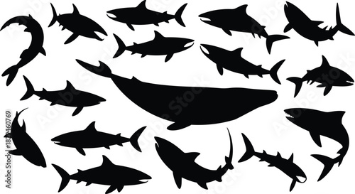Shark and whale silhouettes, marine animal icons, editable vector, black design elements, ocean predator contrast, aquatic life, sea creature set