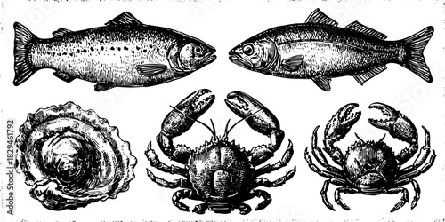 Vintage engraving of fish, crab, and oyster seafood. Hand-drawn black outline in a retro style, ideal for culinary decor vector illustration set.