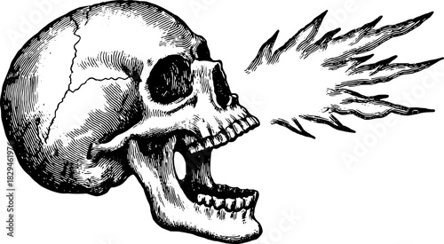 Vintage skull illustration in detailed line art. The black and white vector set emphasizes an expressive scream, enhanced by flames.
