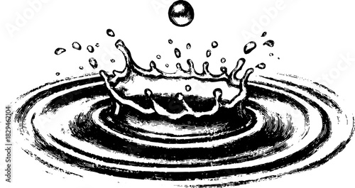 Water splash vector illustration with droplet and ripples. Vintage line drawing in black and white.