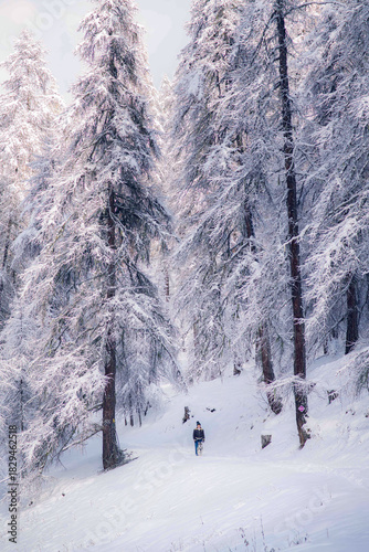 Winter Hiker Walking with Dog in Snowy Forest