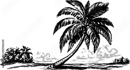 Palm tree outline in black and white vintage style. Scenic nature illustration featuring lush details in a tranquil coastal setting. Vector.