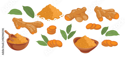 turmeric icons set dry turmeric powder turmeric roots