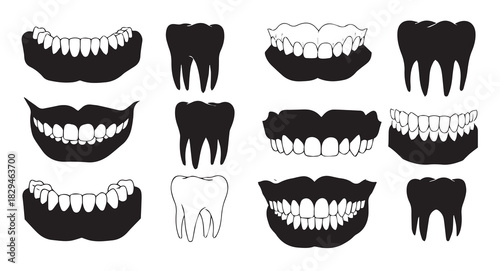 unique dental illustrations depicting teeth shapes