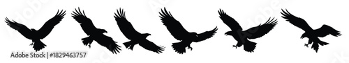 eagle silhouettes black flying bird of prey clipart set  [Converted]