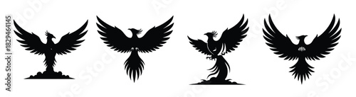 various phoenix silhouettes isolated on white background