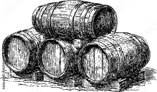 Vintage wooden barrels illustrated in an engraving style. This classic vector illustration showcases craftsmanship and rustic details in a set.