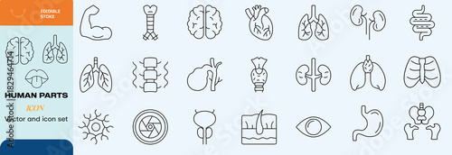  Handdrawn human parts icon set