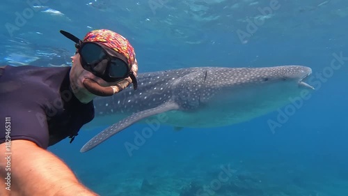Freediver and whale shark swim side by side
