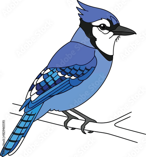 Blue jay bird flat design vector illustration