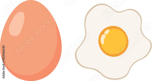 Egg Vector 