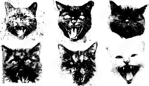 Set of vector illustrations featuring wild cat faces. Black and white artwork showcases unique expressions in a striking graphic design.