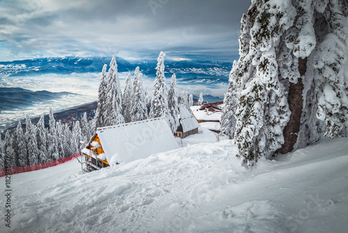 Snowy winter scenery with snow covered pines and wooden houses