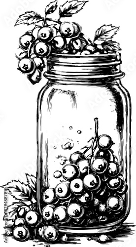 Grapes in a jar illustrated in vintage line art style. A detailed black and white vector illustration set showcasing natural elements.