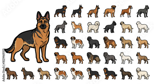 Illustration showcasing various dog breeds, including a prominent German Shepherd, arranged in rows against a white background.