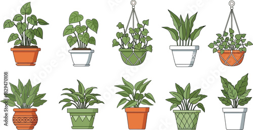 Flat design vector potted houseplants collection