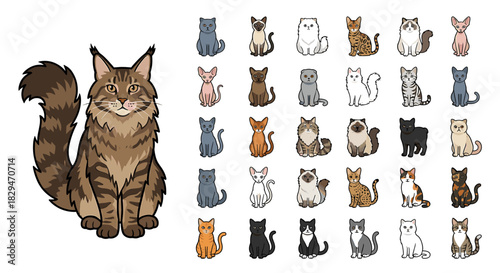 A detailed illustration of a large cat next to a collection of various cat breeds.