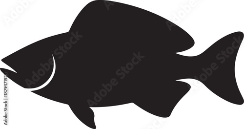 Black silhouette of a fish with white accents on fins and tail animal