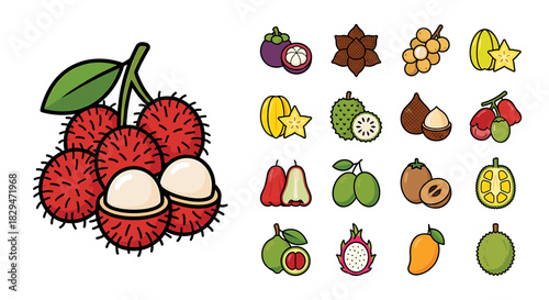 A collection of colorful cartoon-style illustrations of various tropical fruits, including rambutan, mangosteen, starfruit, and dragon fruit.