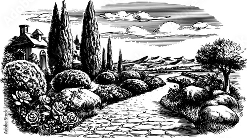 Landscape vector illustration featuring a walkway through gardens with trees and bushes. Black and white drawing depicting nature and rural scenery.