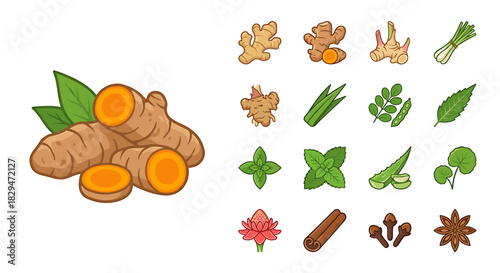 Illustration of various spices and herbs, including turmeric root with leaves, ginger, lemongrass, and other culinary ingredients.
