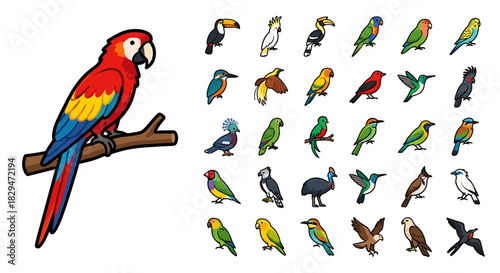 A vibrant red macaw perches on a branch alongside a diverse collection of various colorful parrot illustrations on a clean white background.