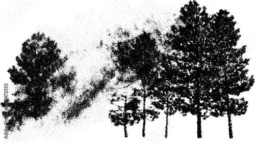 Trees in silhouette style. Engraved black outline vector illustration with rustic texture, suitable for natural decor set.