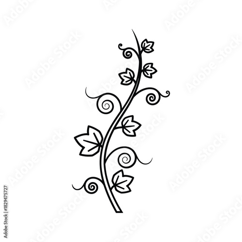 Stylized black outline plant vine with small leaves and curling tendrils design element