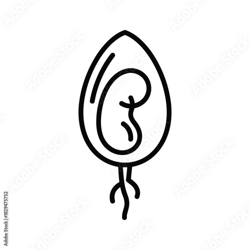 Germinating seed icon depicting early plant growth and development with visible roots emerging