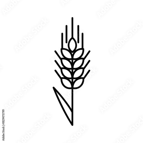 Wheat ear icon representing agriculture, harvest, grain, food, and natural organic products