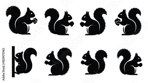 squirrel silhouette illustration