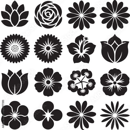 Black and White Flower Silhouettes a Collection of Floral Designs
