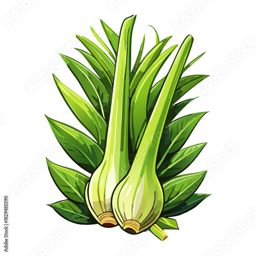 Fresh Lemongrass Vector Illustration. Realistic Green Cymbopogon Stalks and Leaves for Asian Cuisine, Tea, Aromatherapy, and Healthy Food Concepts.