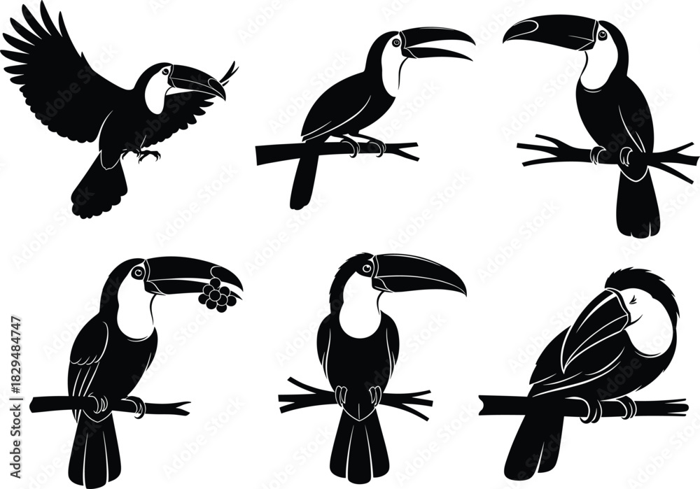 Obraz premium Elegant black silhouette toucan bird illustrations perched on branches, expressive tropical wildlife vector design set for nature themes, decorative art, and creative projects
