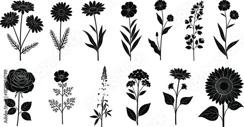 Elegant botanical flower silhouette collection featuring diverse blooming plants, delicate stems and leaves, floral elements for decorative design, nature illustration, vector art, black silhouettes