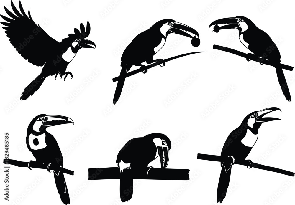 Obraz premium Expressive toucan silhouette illustration set featuring flying, perching, feeding, and resting poses, ideal for tropical wildlife vector artwork, nature graphics, and exotic-themed designs
