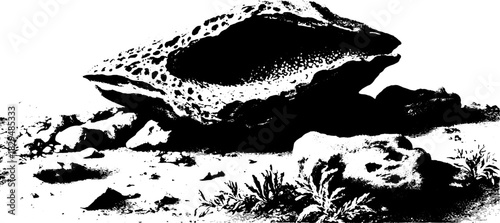 Vintage shell outline engraving. Detailed black and white vector illustration of a natural coastal rock formation.