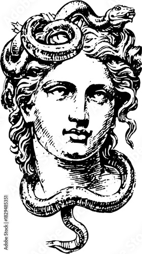 Medusa bust with ornate snake details. Vintage black and white vector illustration depicting classic mythology and fine artistic representation.