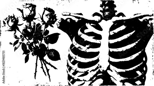 Roses and skeleton in a creative, monochrome set. This vector illustration combines floral and anatomical elements in a simple design.