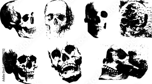 Skull anatomy vector illustration in black and white. Simple and isolated design for educational and scientific purposes, presented in a clean style.