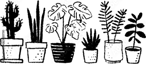 Illustration of various plants in pots, including cacti and foliage. Simple black and white vector illustration set showcasing indoor greenery.